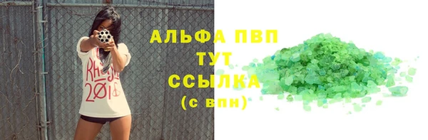 экстази Бородино