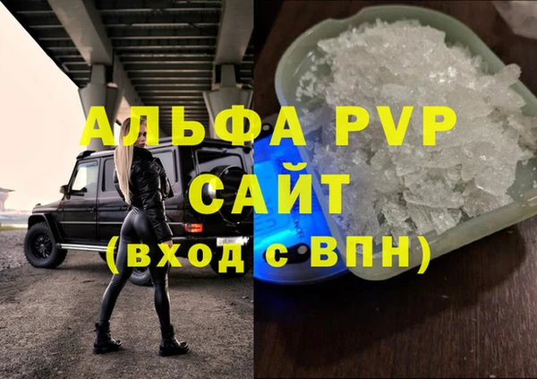 экстази Бородино