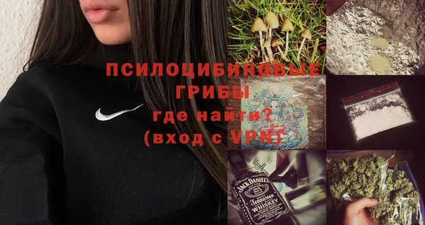 экстази Бородино