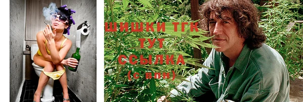 соль ск Верхний Тагил