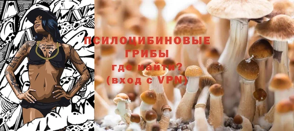 соль ск Верхний Тагил