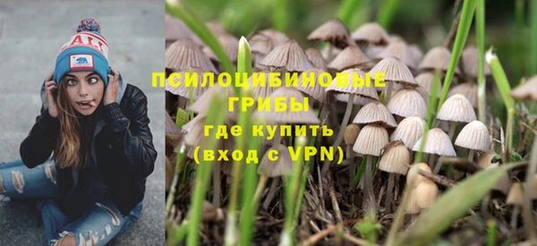 соль ск Верхний Тагил