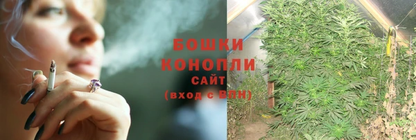 мдпв Верея