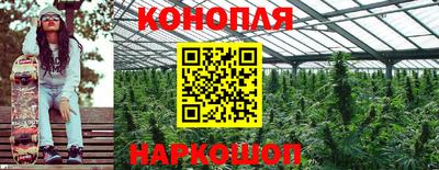 гашик Ярцево