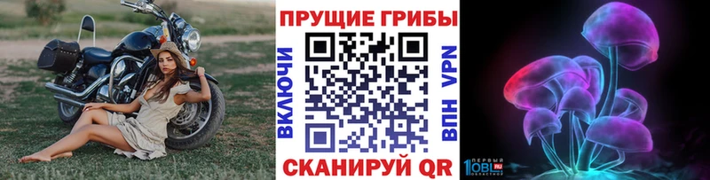 Псилоцибиновые грибы GOLDEN TEACHER  цены   Великий Устюг 