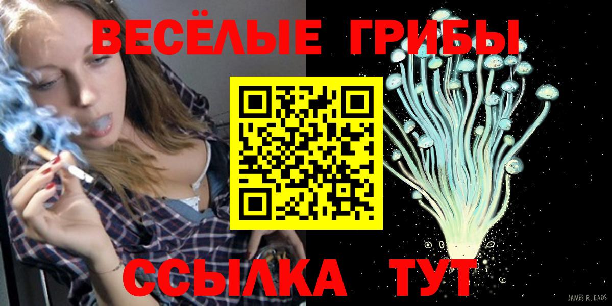 Псилоцибиновые грибы GOLDEN TEACHER Великий Устюг