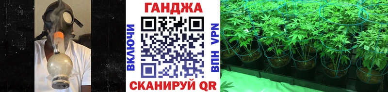 Конопля Amnesia  Великий Устюг 